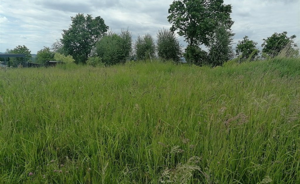 Działka na sprzedaż - Widok 2