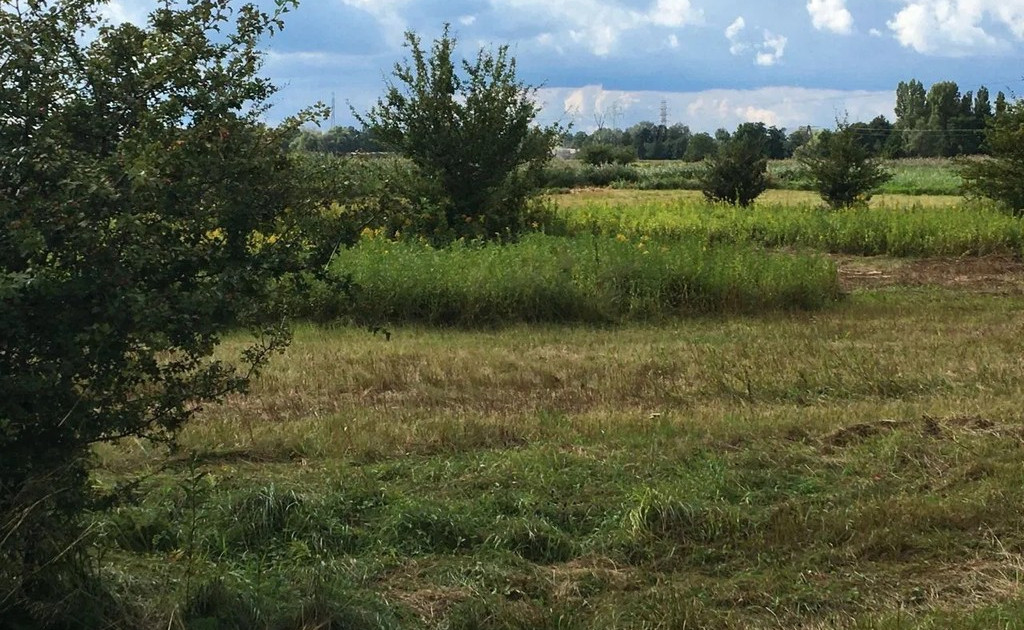 Działka na sprzedaż - Widok 2