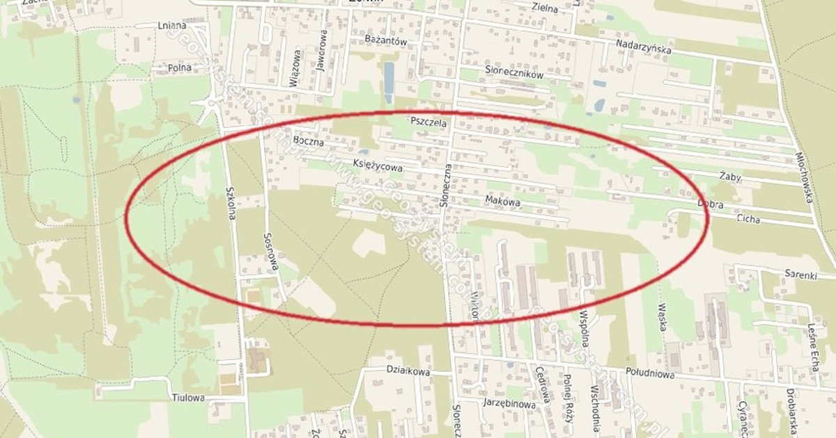 Działka na sprzedaż - Widok 2