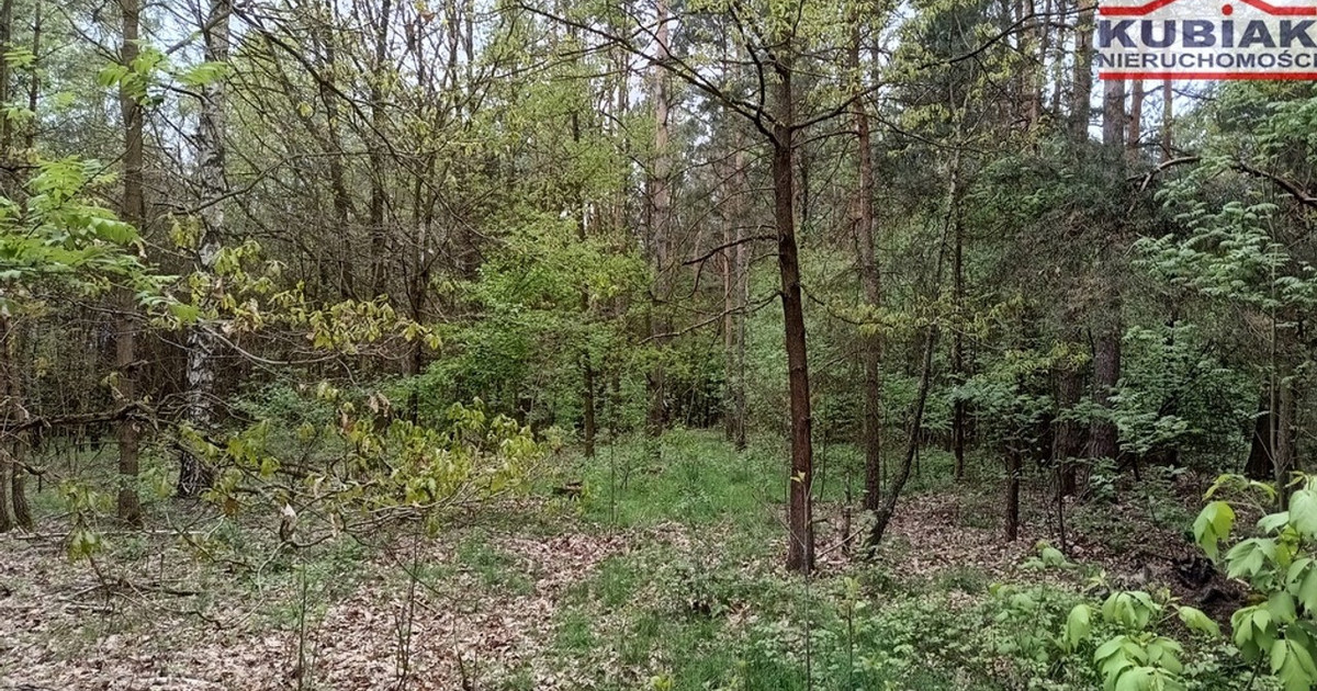 Działka na sprzedaż - Widok 2