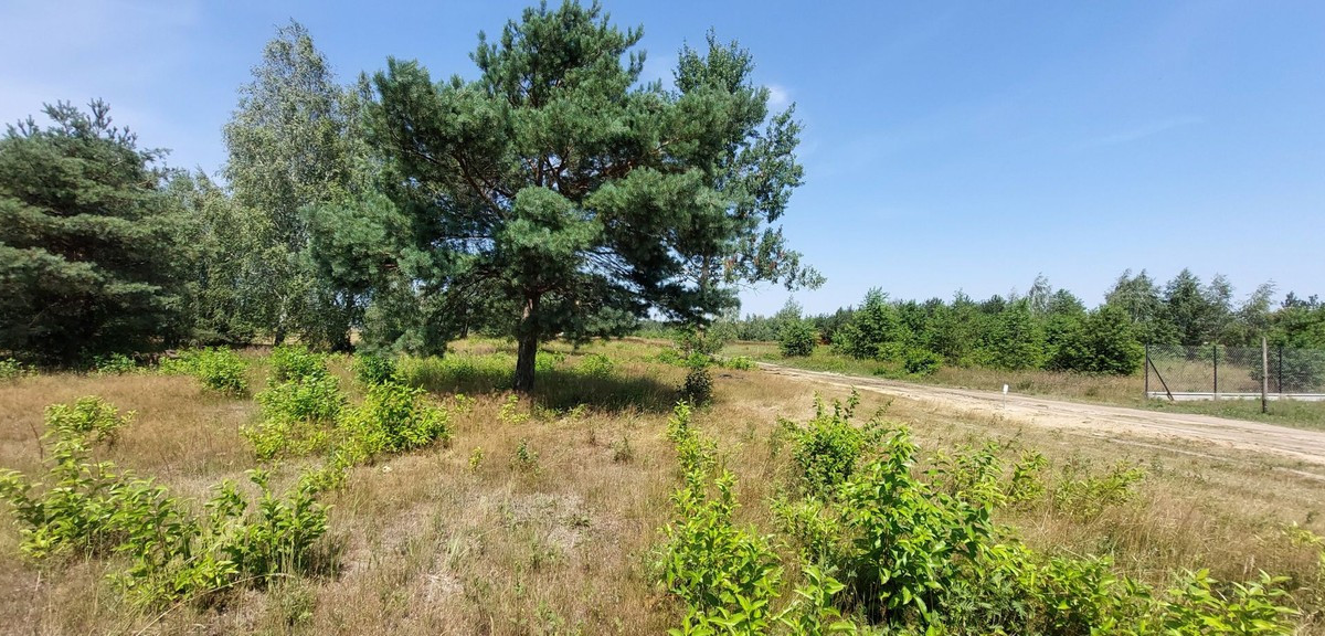 Działka na sprzedaż - Widok 2