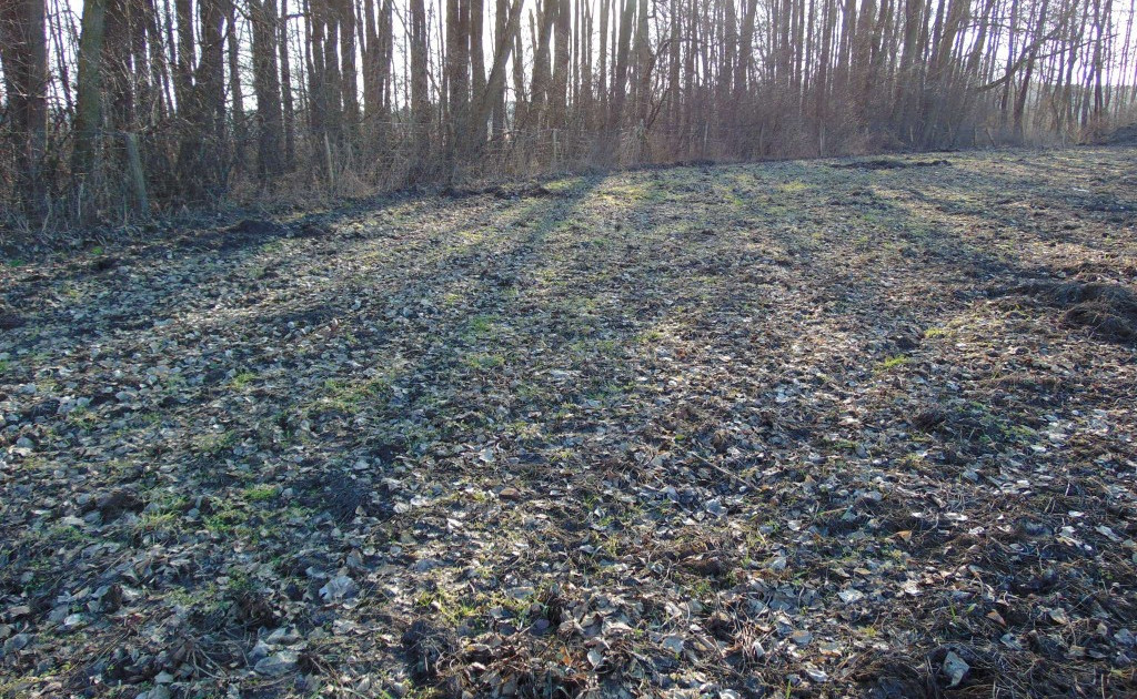 Działka na sprzedaż - Widok 2