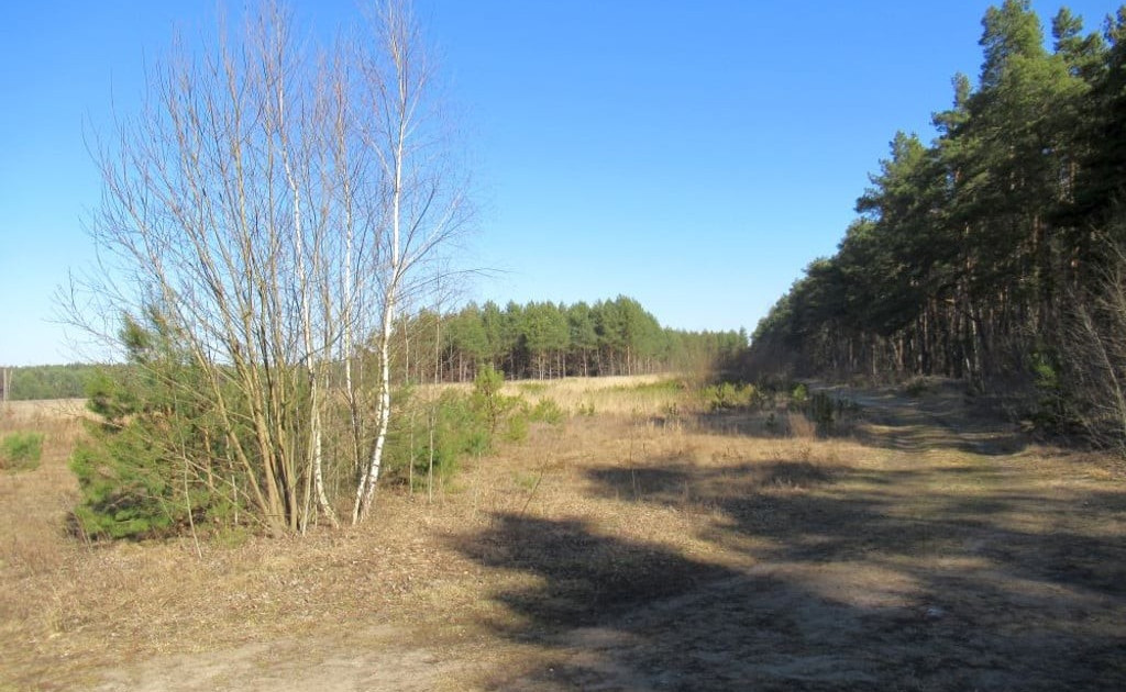 Działka na sprzedaż - Widok 2