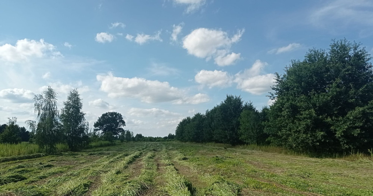 Działka na sprzedaż - Widok 2