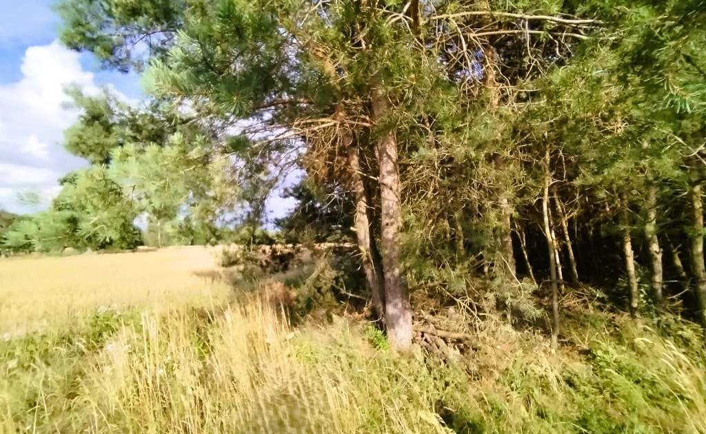 Działka na sprzedaż - Widok 2