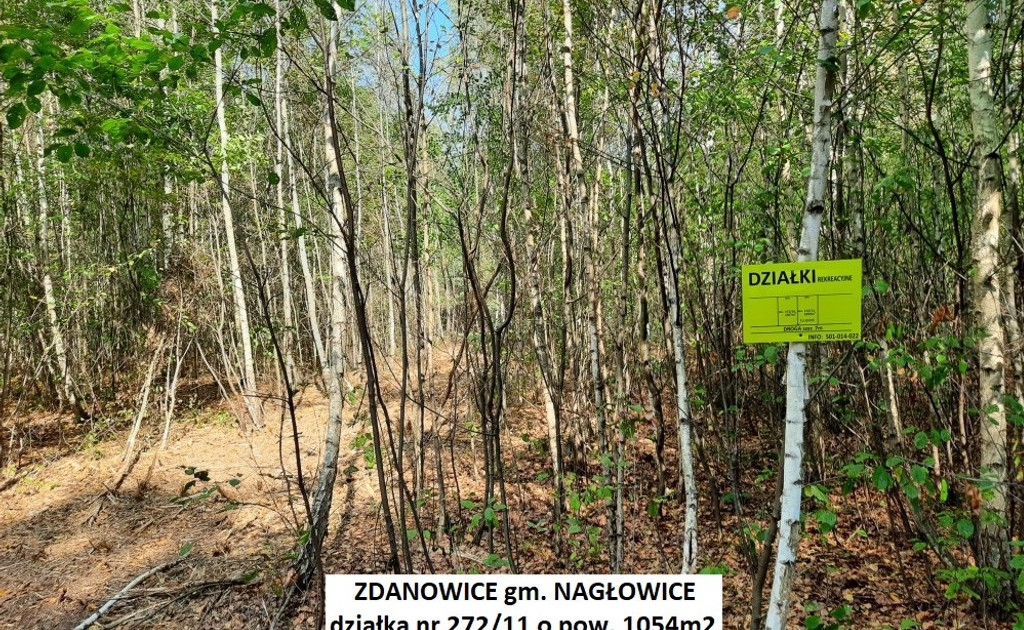 Działka na sprzedaż - Widok 2