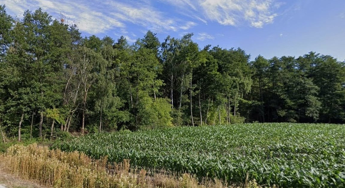 Działka na sprzedaż - Widok 2