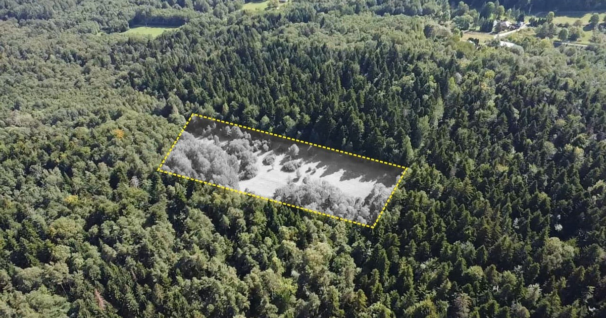 Działka na sprzedaż - Widok 2