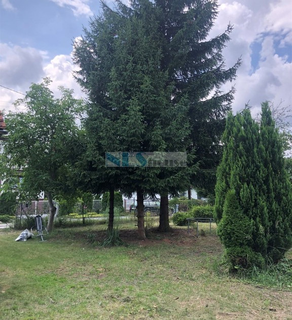 Dom – Fabryczna - Widok 2