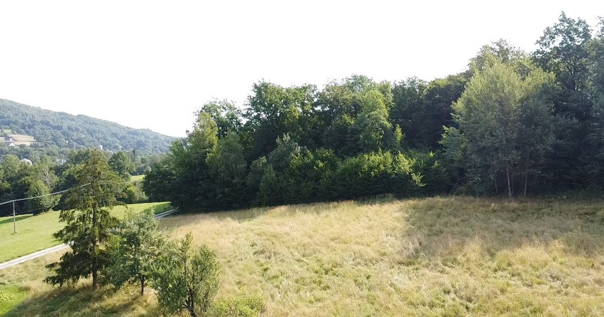 Działka na sprzedaż - Widok 2