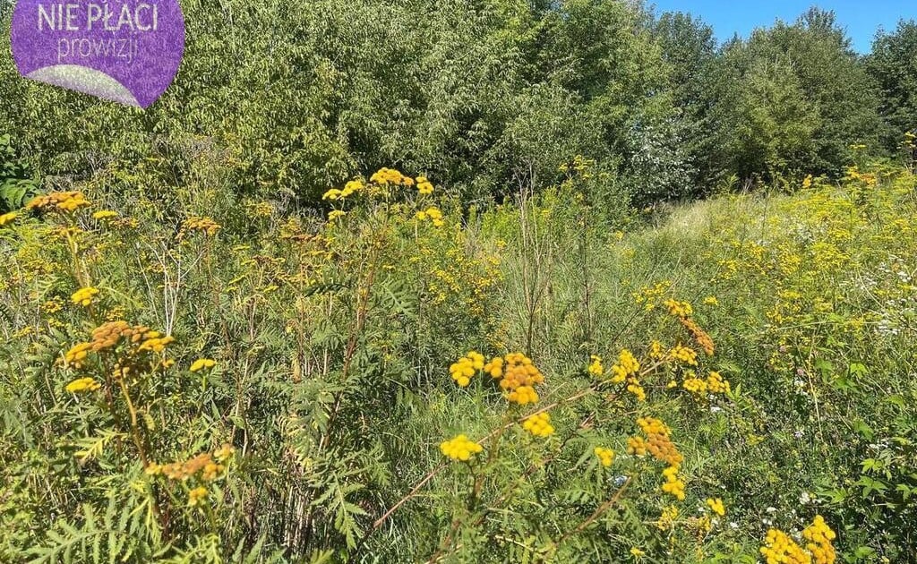 Działka na sprzedaż - Widok 2