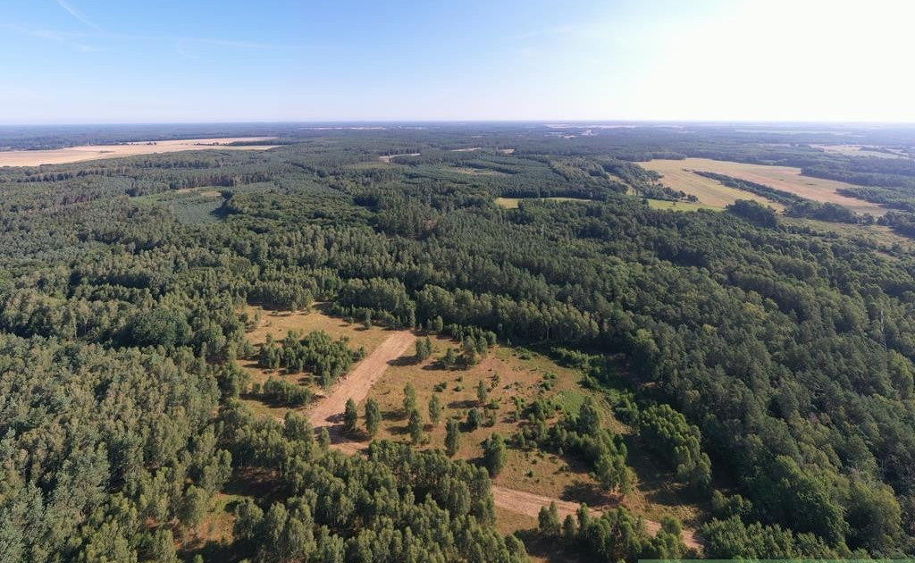 Działka na sprzedaż - Widok 2
