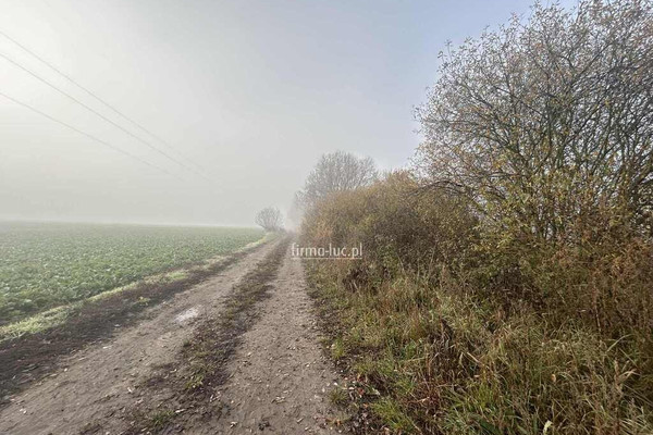 Grund, 79000 m²