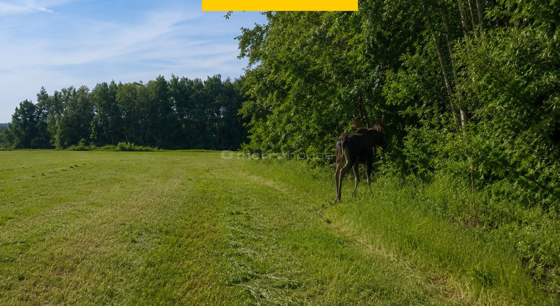 Działka na sprzedaż - Widok 2