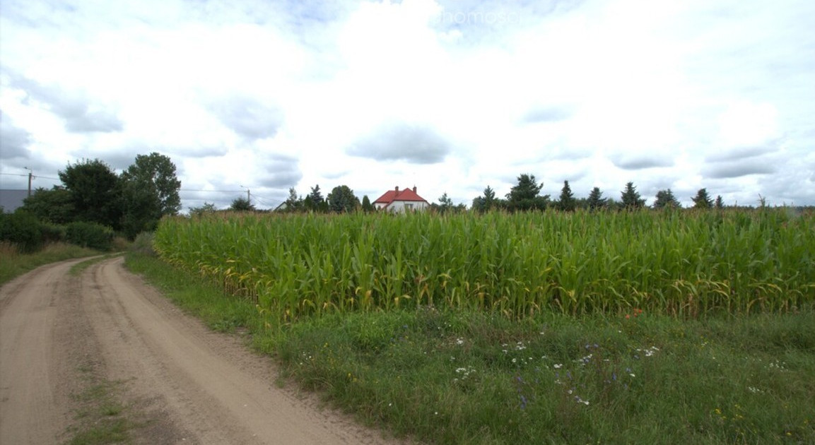 Działka na sprzedaż - Widok 2