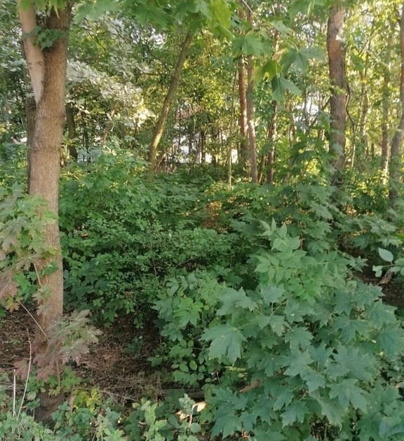 Działka na sprzedaż - Widok 2