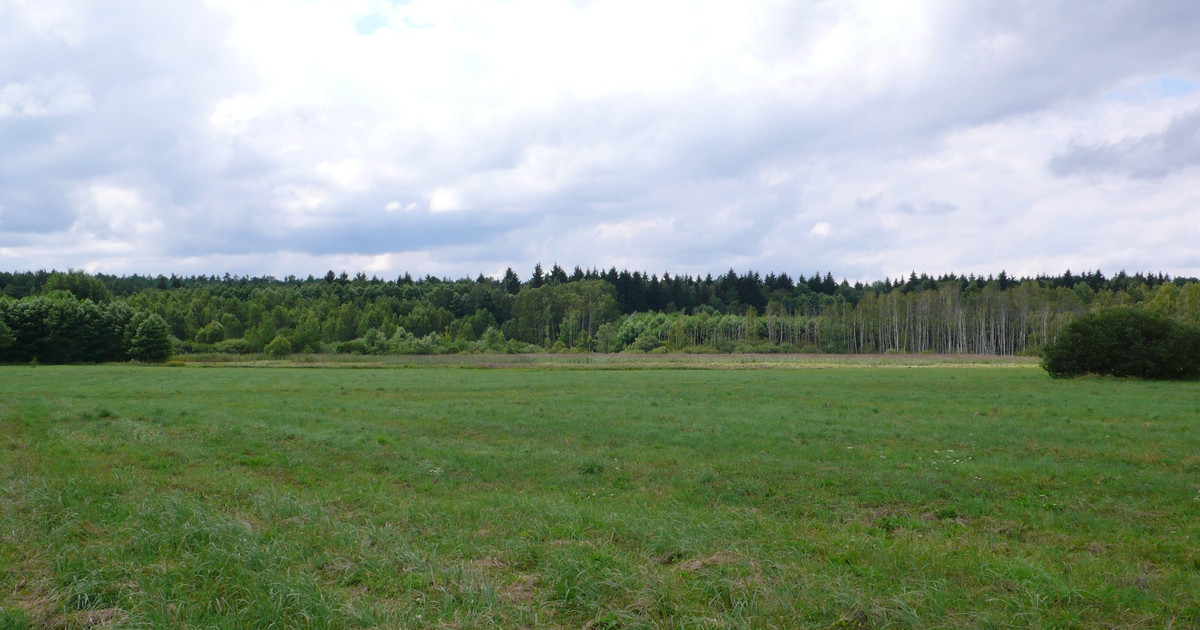 Działka na sprzedaż - Widok 2