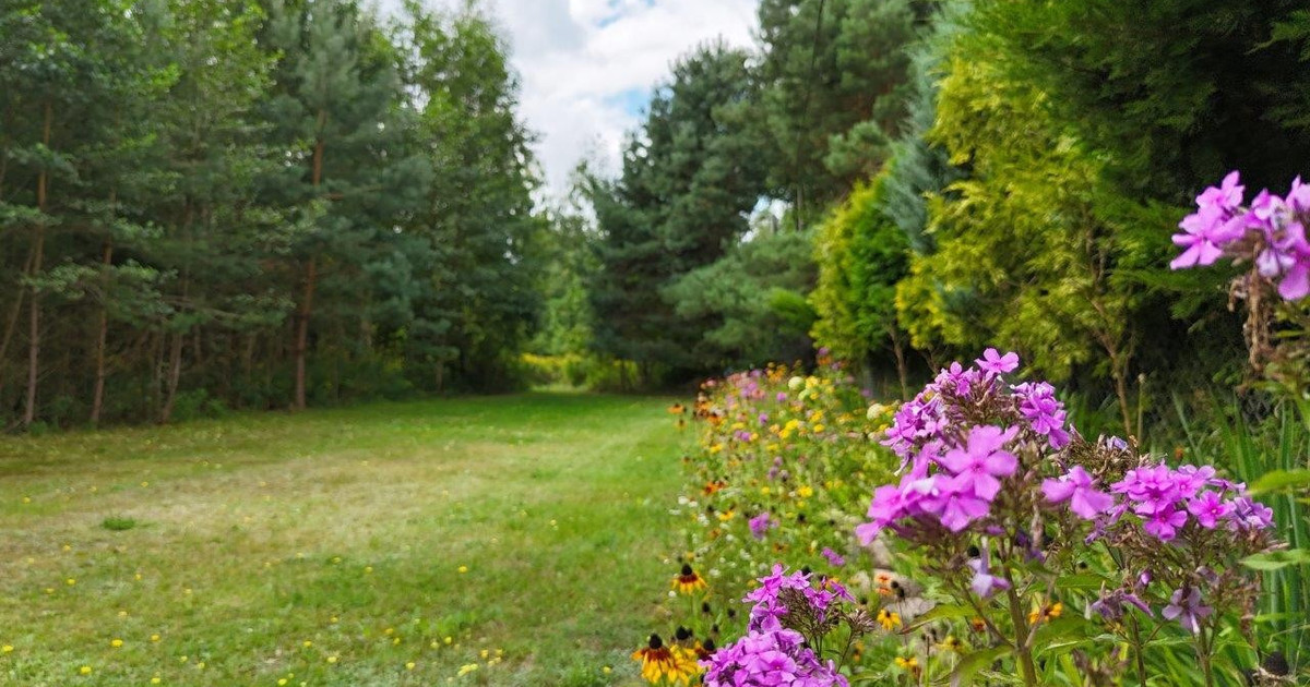 Działka na sprzedaż - Widok 2