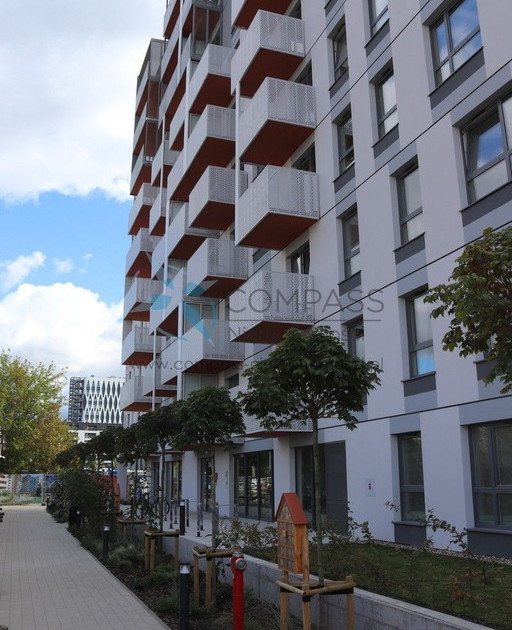 Mieszkanie – Jeżyce - Widok 2