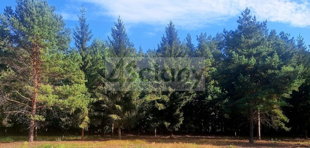 Działka na sprzedaż - Widok 2
