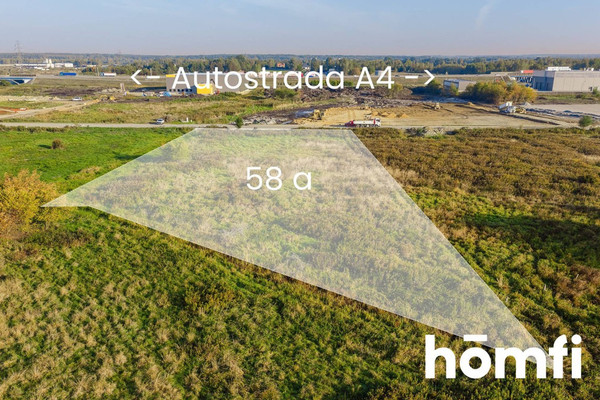 Art, 5839 m²