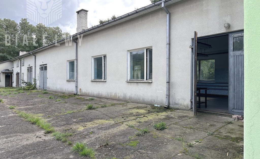 Lokal handlowy, usługowy na sprzedaż - Widok 2
