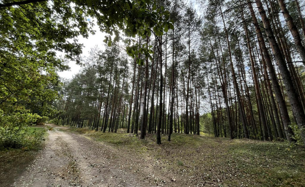 Działka na sprzedaż - Widok 2
