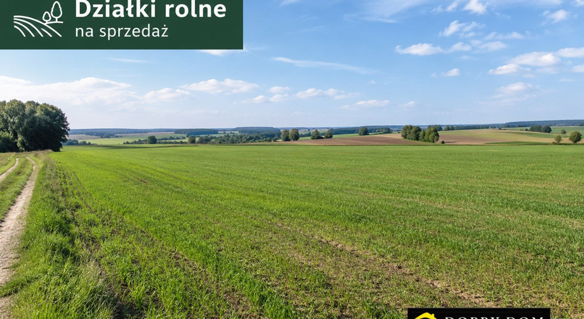 Działka na sprzedaż - Widok 2