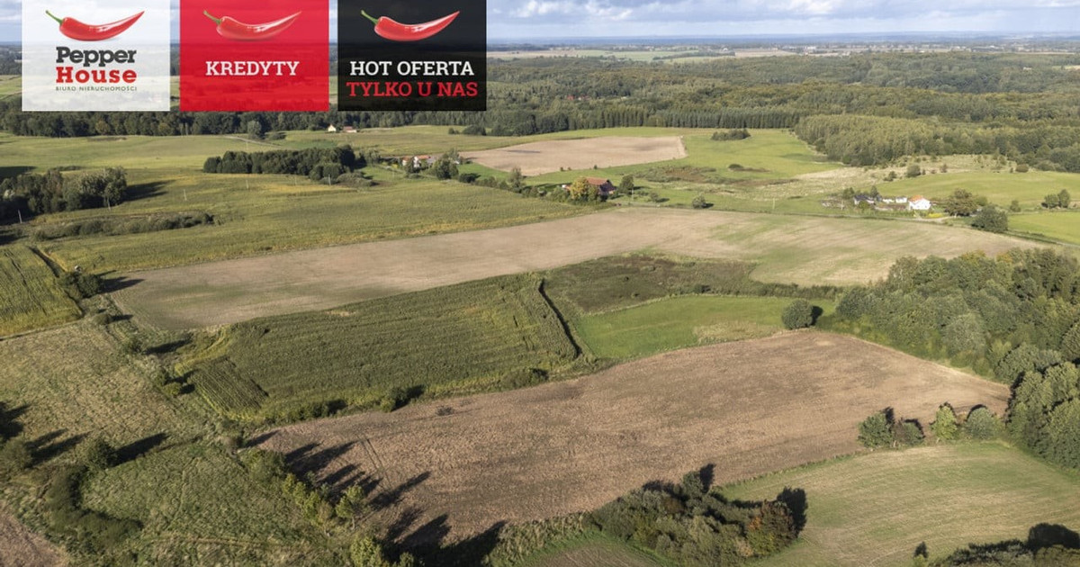 Działka na sprzedaż - Widok 2