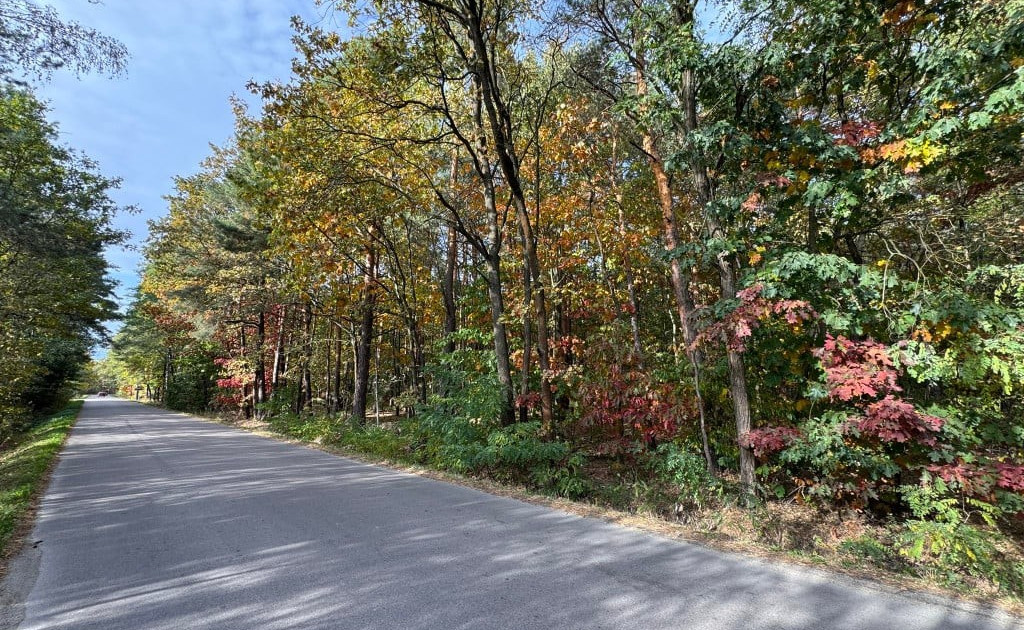 Działka na sprzedaż - Widok 2