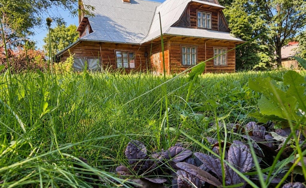 Dom – Bodzanów - Widok 2