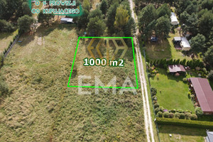 Spokój, las, 1000 m² za 70 tys.