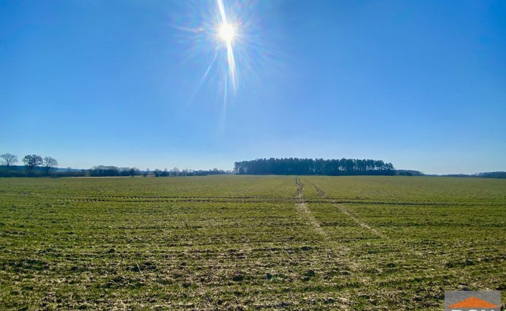 Działka na sprzedaż - Widok 2