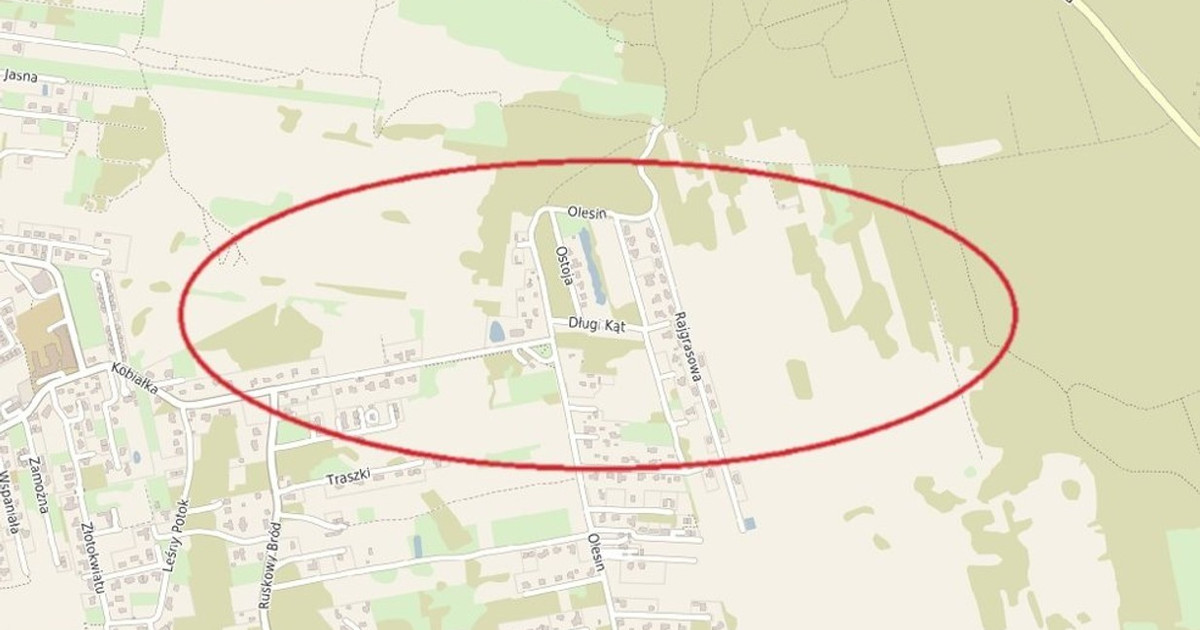 Działka na sprzedaż - Widok 2