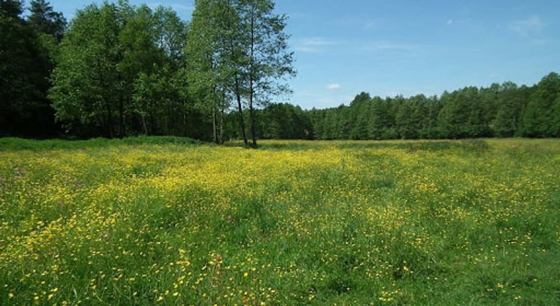 Działka na sprzedaż - Widok 2