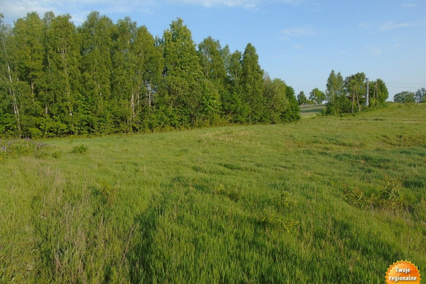 Tomt, 1000 m²