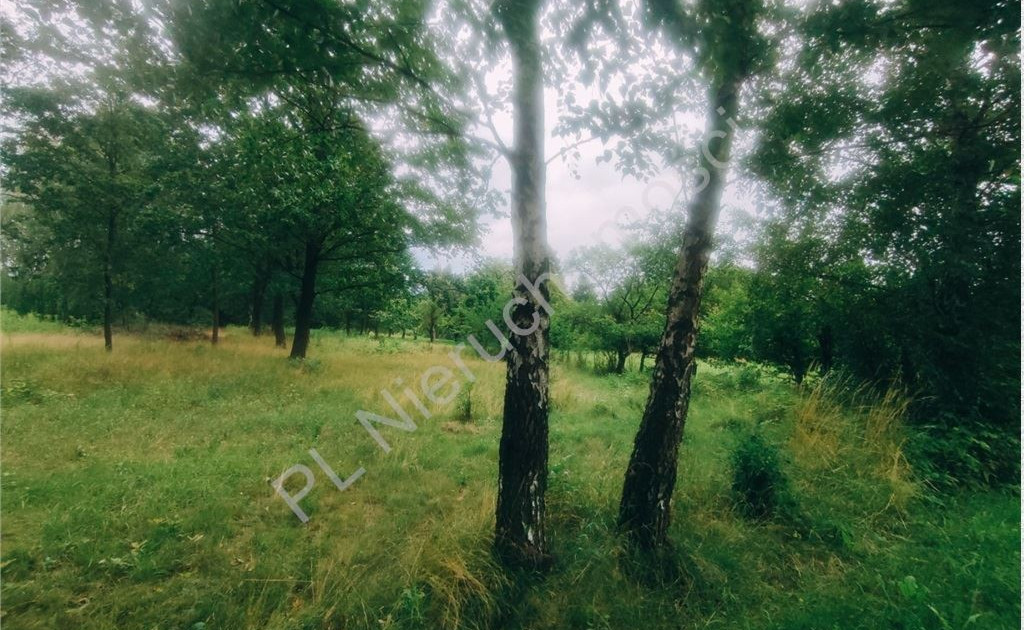 Działka na sprzedaż - Widok 2