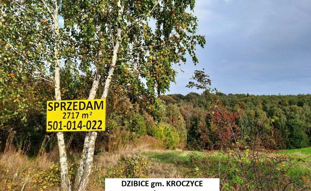 Działka na sprzedaż - Widok 2