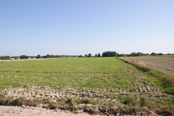 Grundstück, 1800 m²