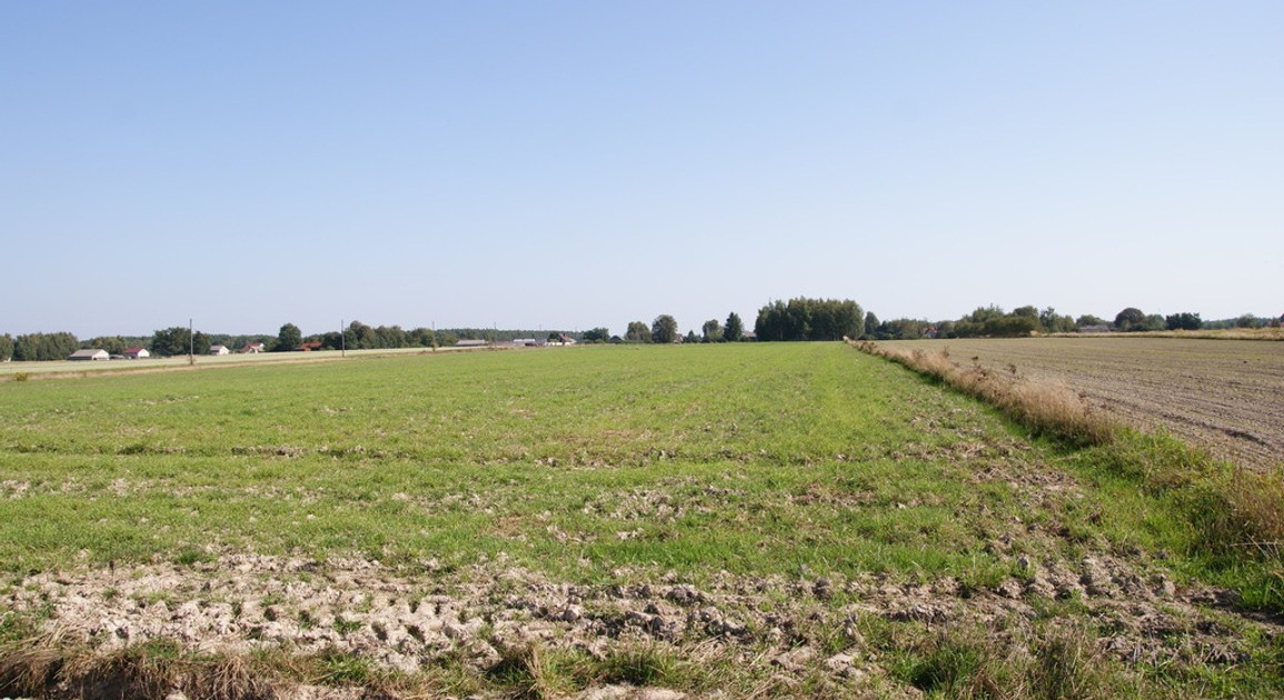 Działka na sprzedaż - View 2
