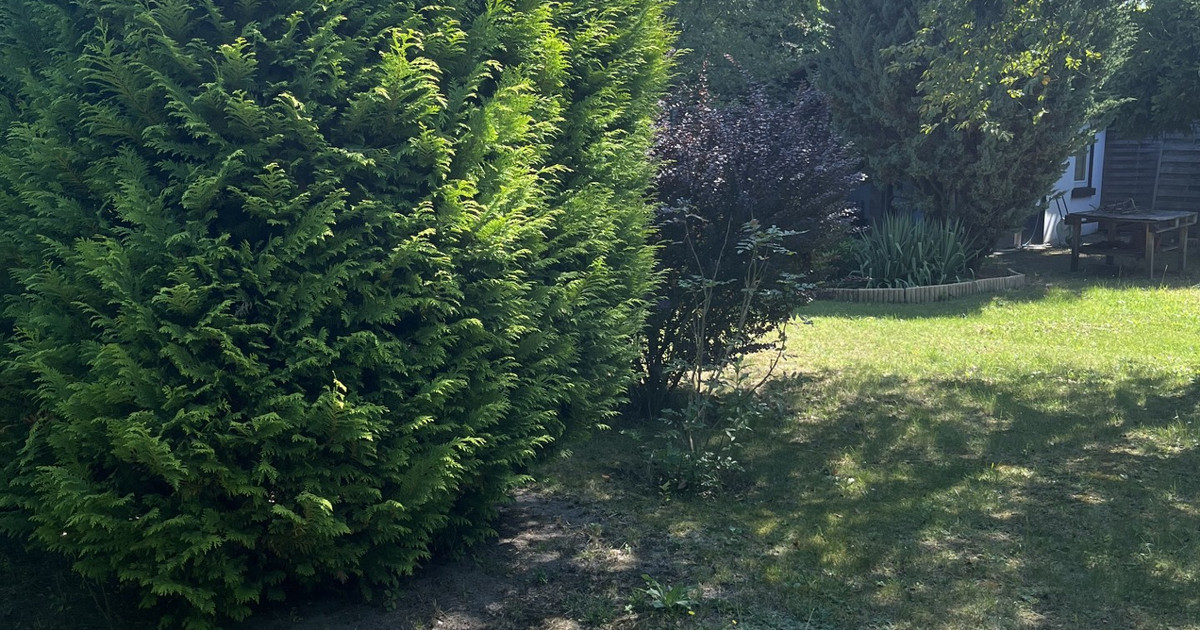 Działka na sprzedaż - Widok 2