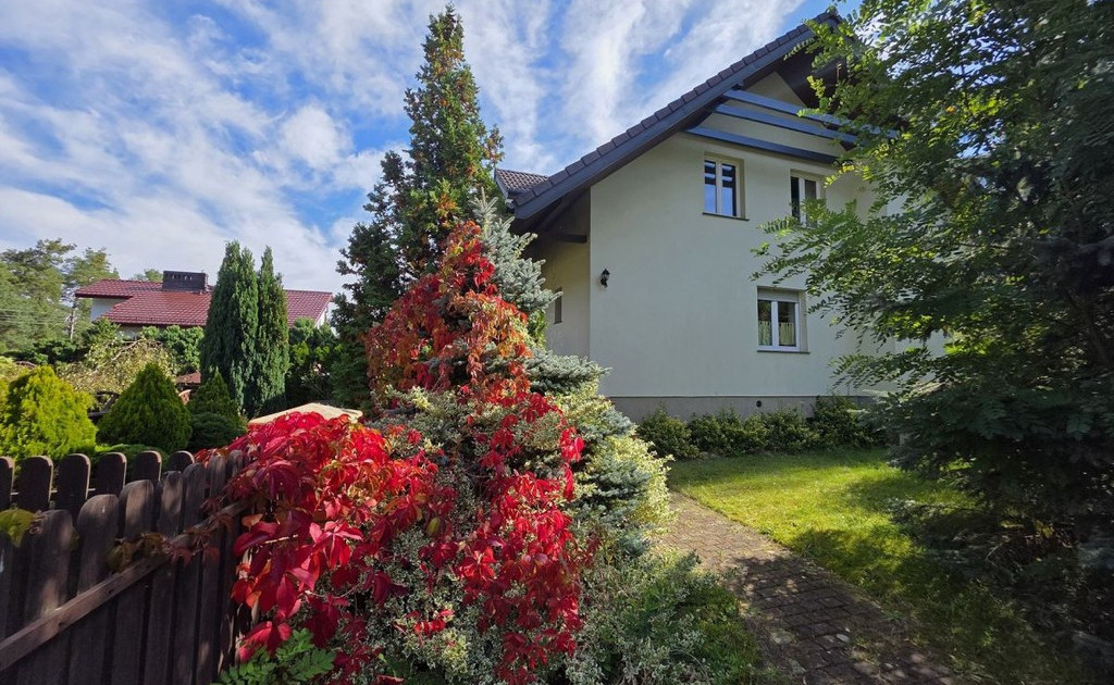 Dom – Chojnów - Widok 2
