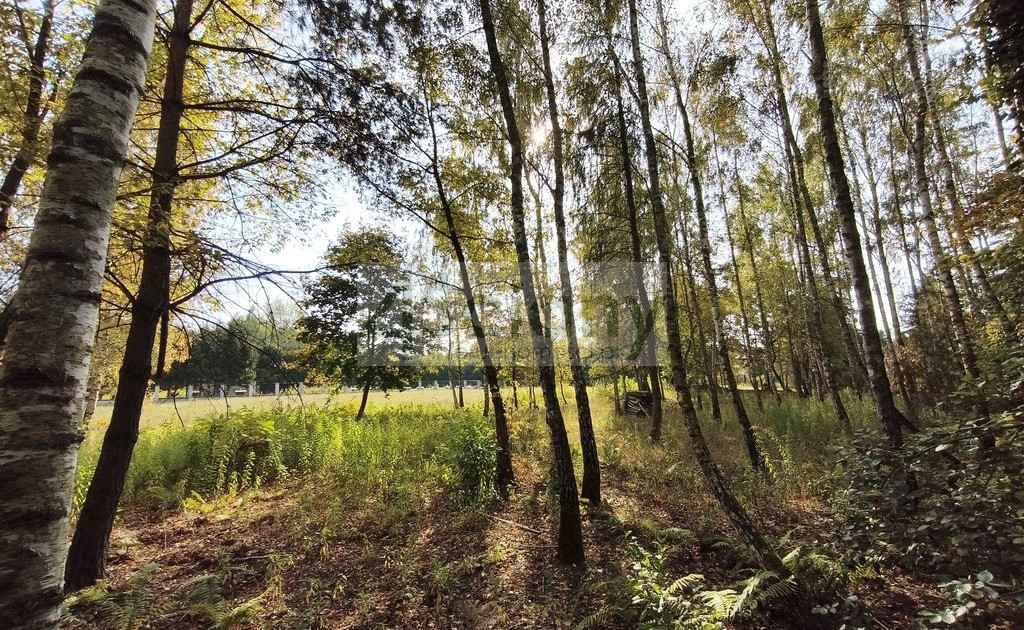 Działka na sprzedaż - Widok 2