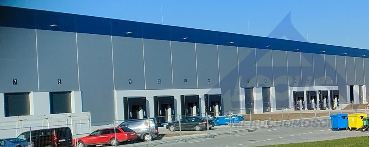 Hala, magazyn do wynajęcia - Widok 2