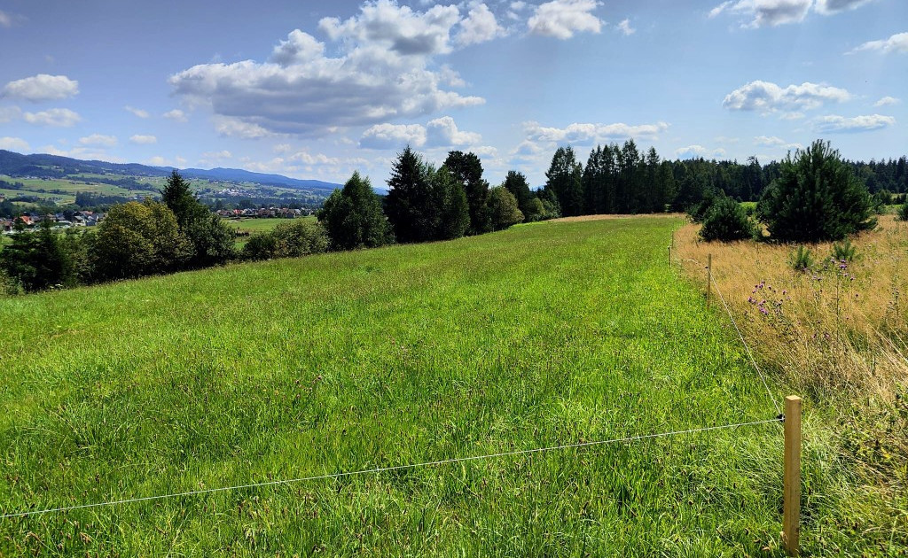 Działka na sprzedaż - Widok 2