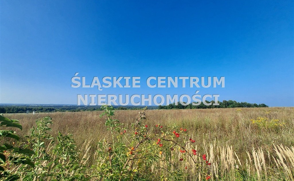 Działka na sprzedaż - Widok 2