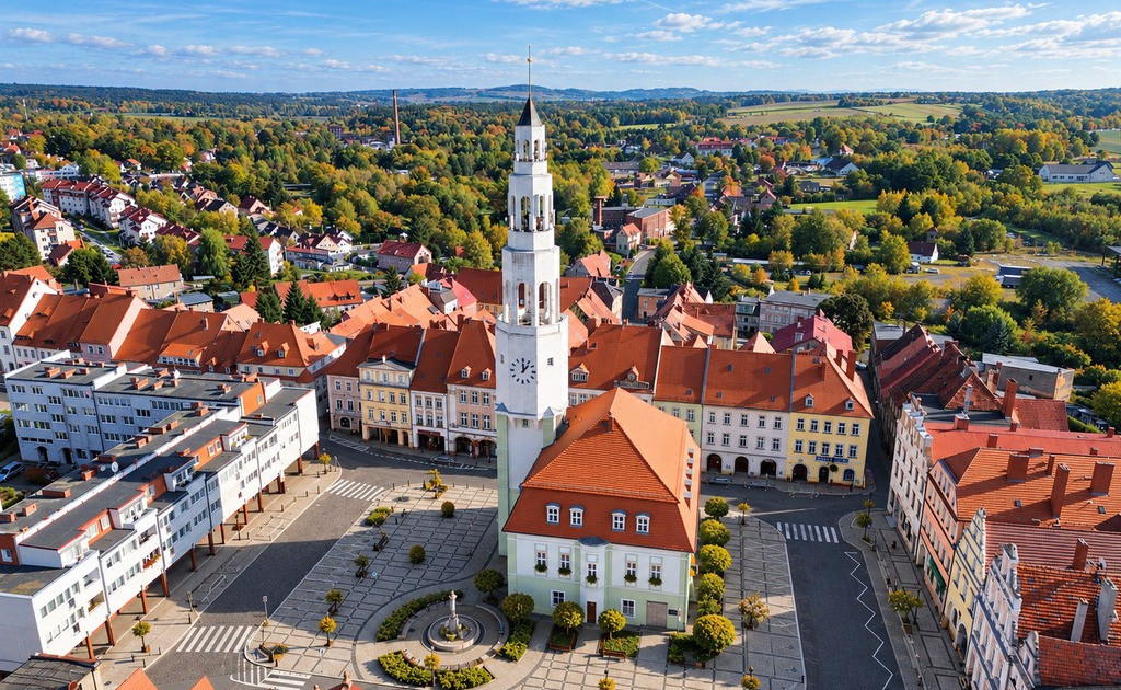 Lokal handlowy, usługowy na sprzedaż - Widok 2