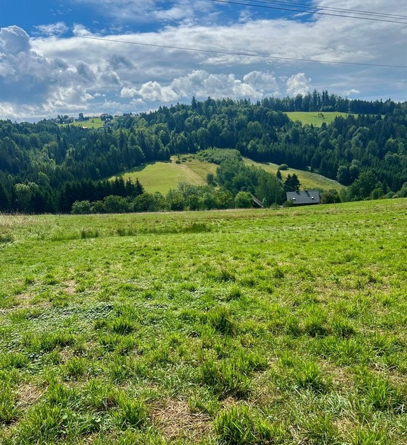 Działka na sprzedaż - Widok 2