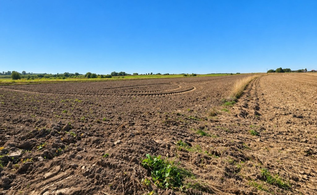 Działka na sprzedaż - Widok 2