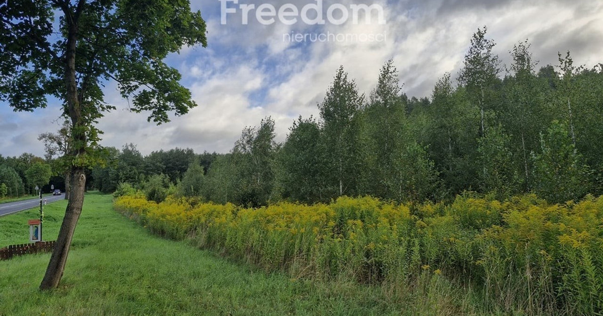 Działka na sprzedaż - Widok 2